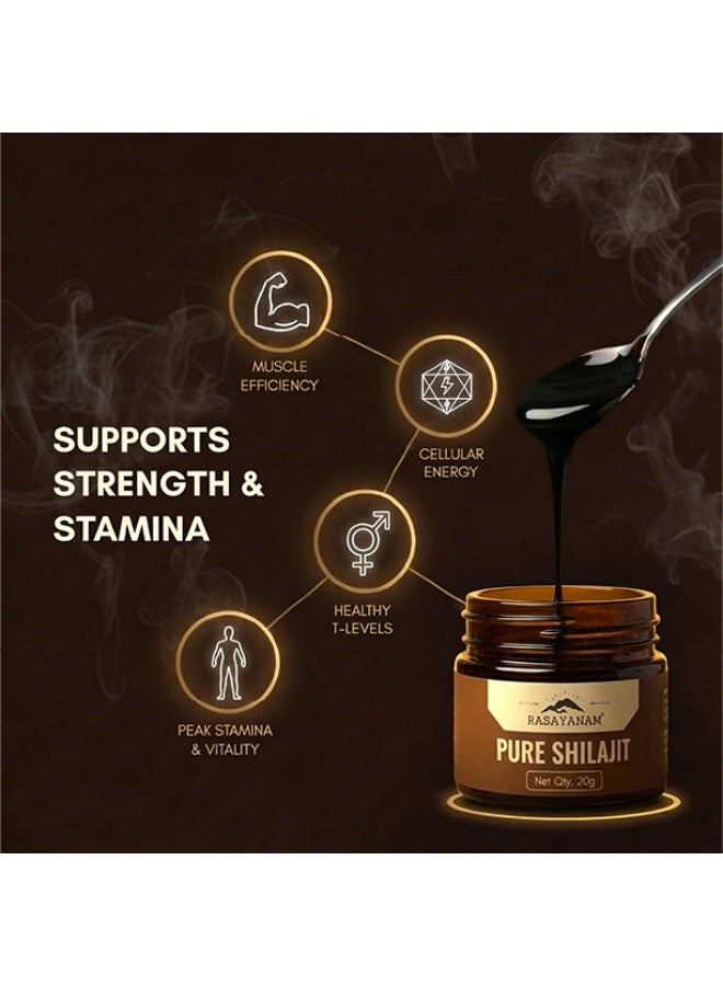 راسايانام راساينام شيلاجيت الهيمالايا الأصلي النقي - 20 جم - Image 3